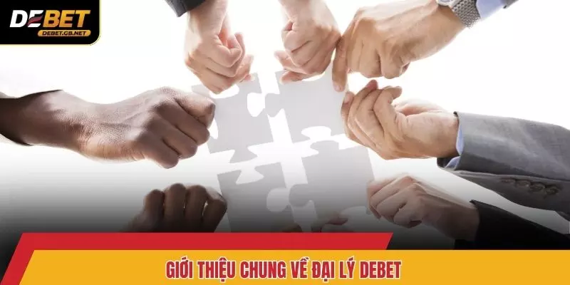 Giới thiệu chung về đại lý DEBET