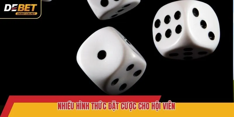 Nhiều hình thức đặt cược cho hội viên